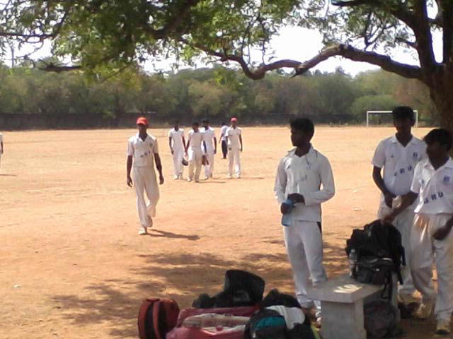 cricket